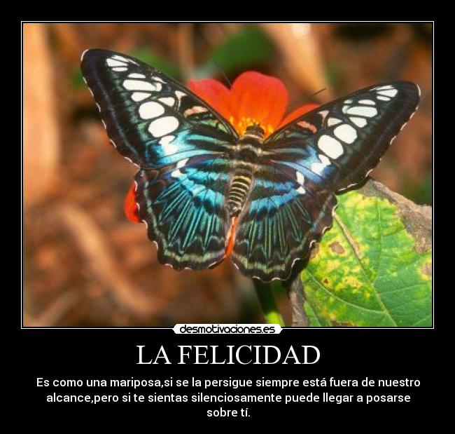 LA FELICIDAD - Es como una mariposa,si se la persigue siempre está fuera de nuestro
alcance,pero si te sientas silenciosamente puede llegar a posarse
sobre tí.