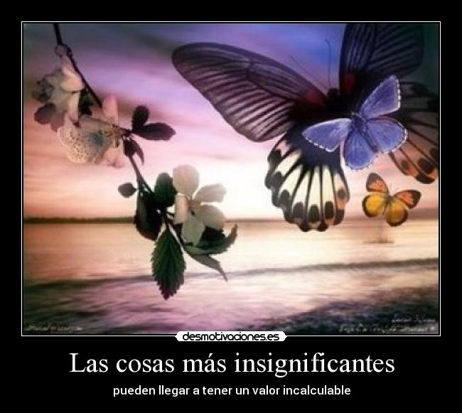 Las cosas más insignificantes -