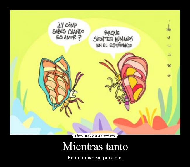 Mientras tanto - En un universo paralelo.