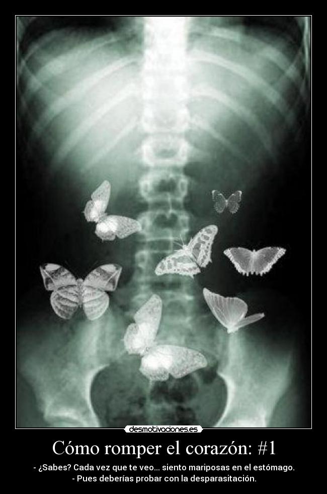 Cómo romper el corazón: #1 - - ¿Sabes? Cada vez que te veo... siento mariposas en el estómago.
- Pues deberías probar con la desparasitación.