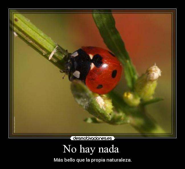 No hay nada -