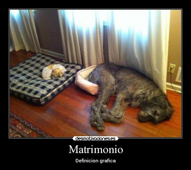 Matrimonio - Definicion grafica