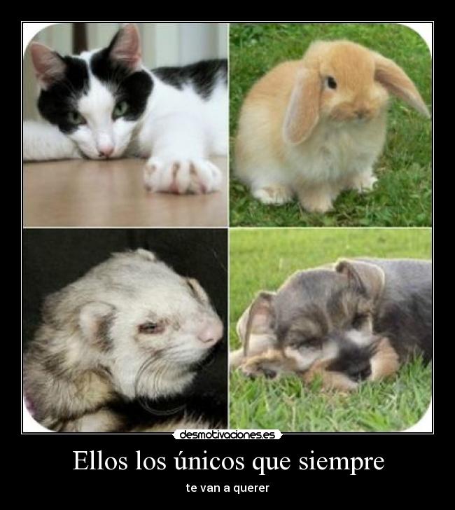 Ellos los únicos que siempre -