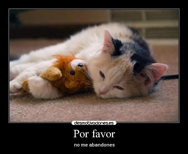 Por favor -
