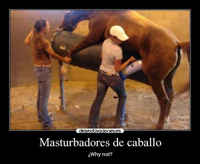 Masturbadores de caballo - ¿Why not?