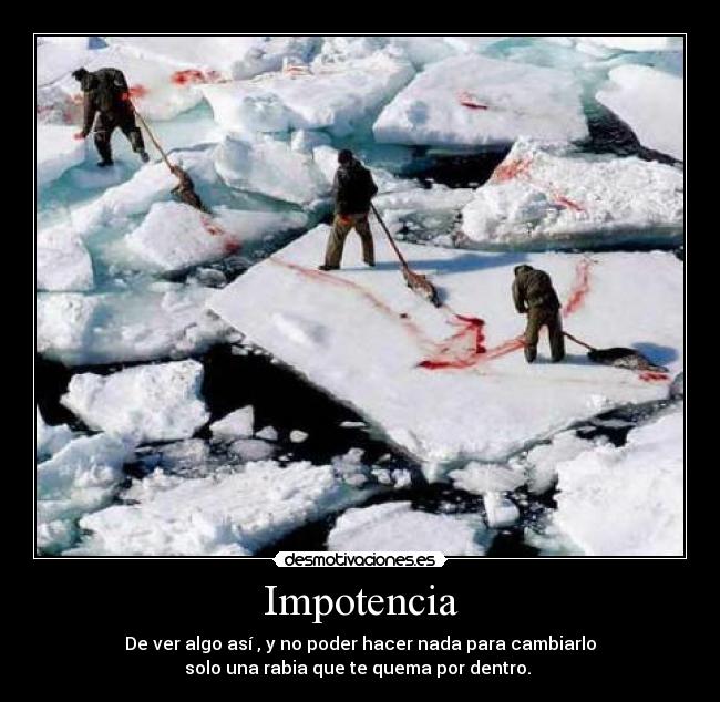 Impotencia - De ver algo así , y no poder hacer nada para cambiarlo
solo una rabia que te quema por dentro.
