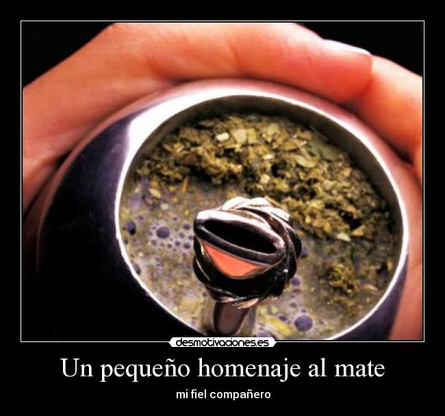 Un pequeño homenaje al mate - mi fiel compañero