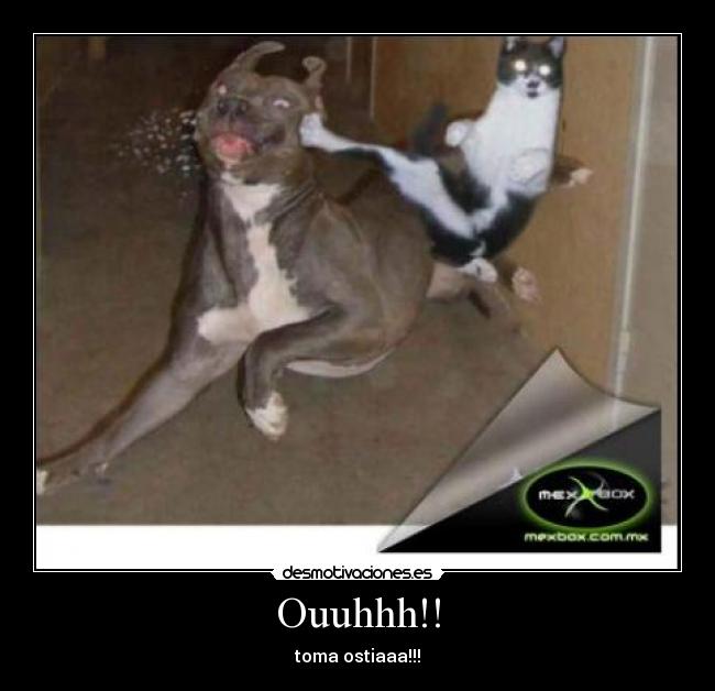 Ouuhhh!! - toma ostiaaa!!!