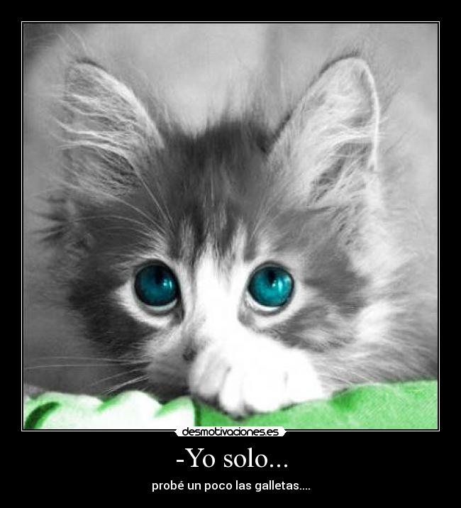 -Yo solo... - probé un poco las galletas....