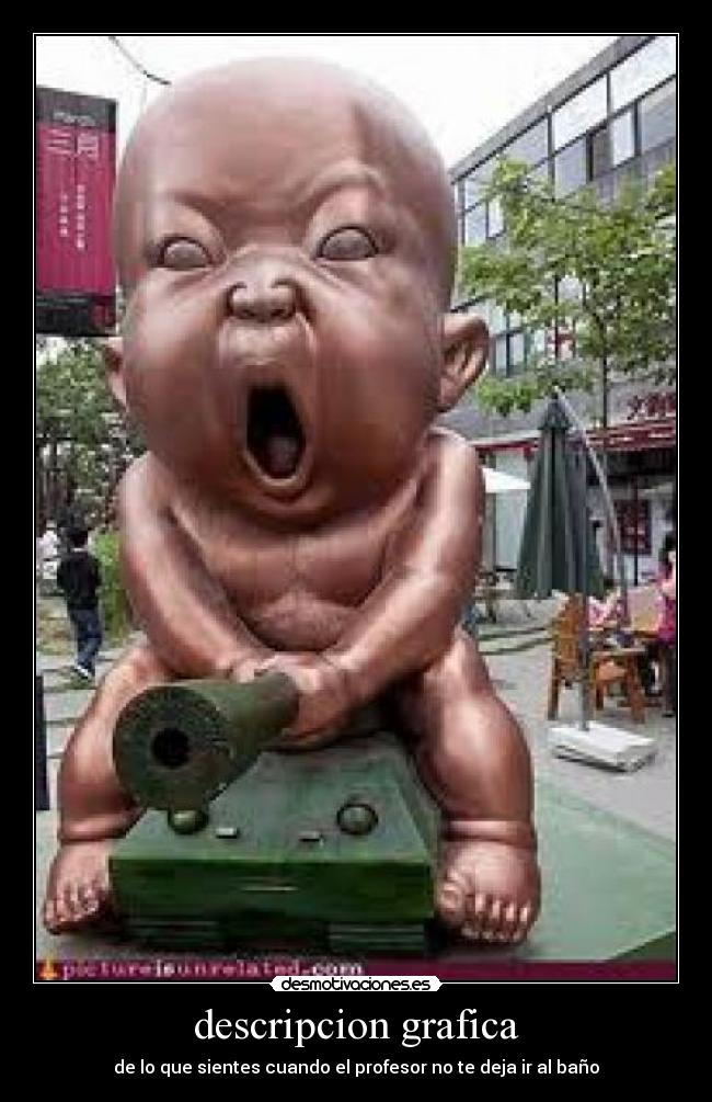 descripcion grafica -