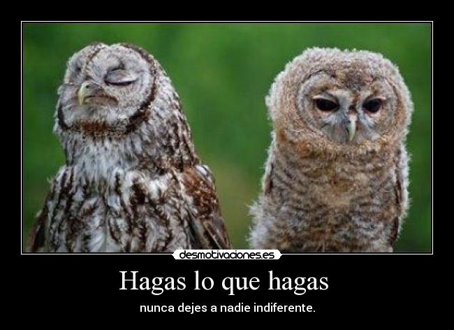 Hagas lo que hagas  - nunca dejes a nadie indiferente.