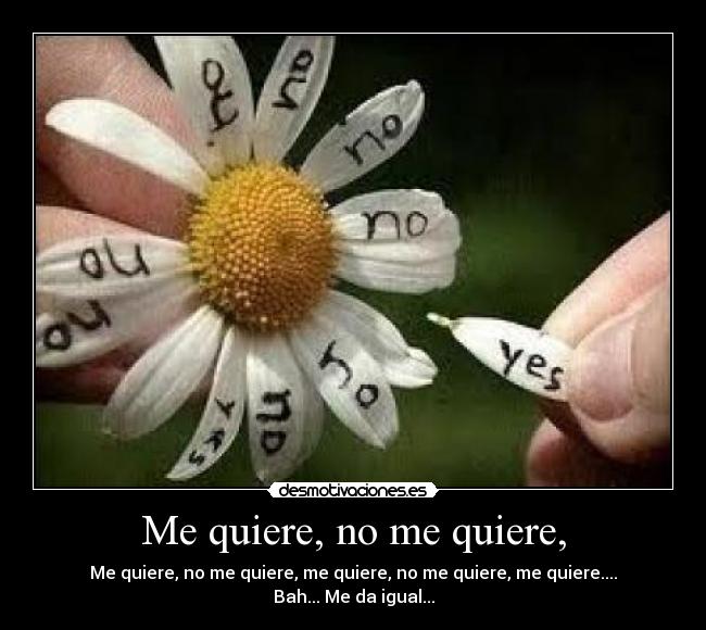 Me quiere, no me quiere, - Me quiere, no me quiere, me quiere, no me quiere, me quiere....
Bah... Me da igual...