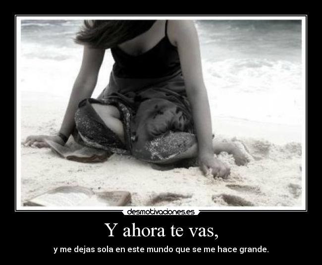 carteles ahora vas desmotivaciones