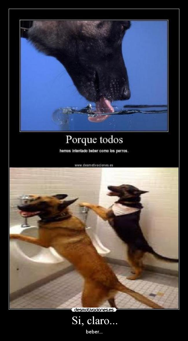 Si, claro... - beber...