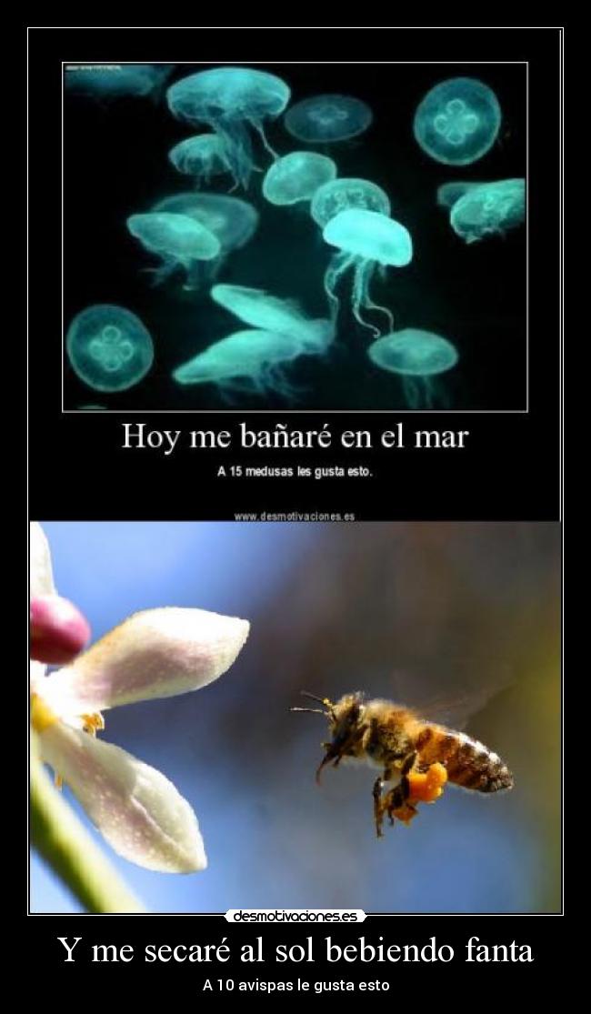 Y me secaré al sol bebiendo fanta -