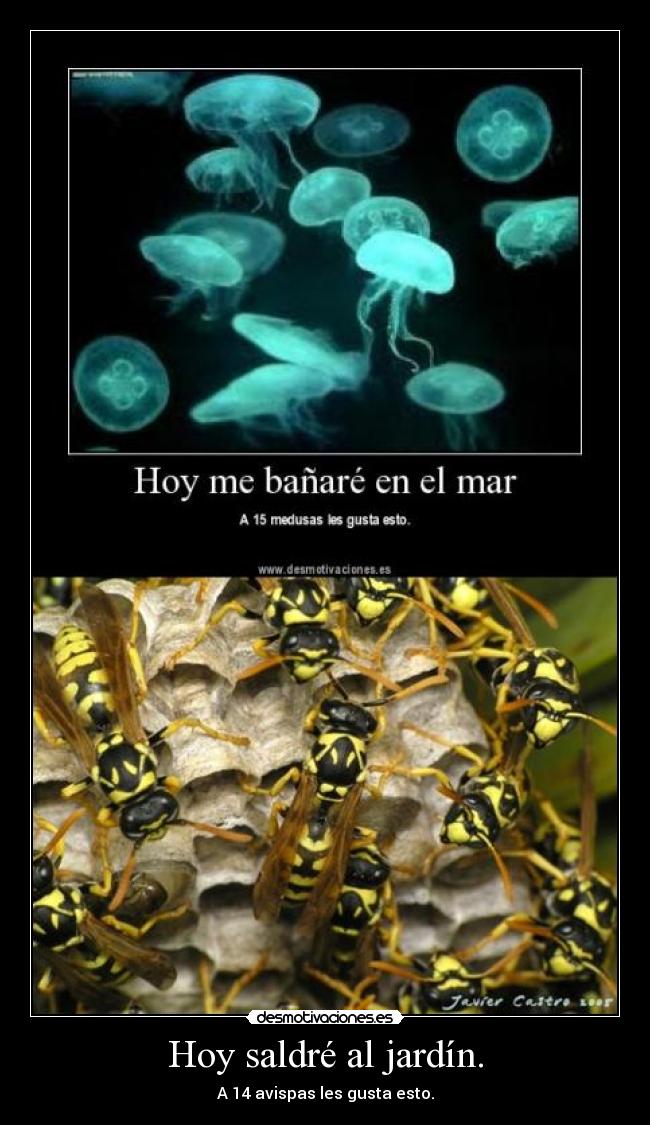 carteles gracioso desmotivaciones