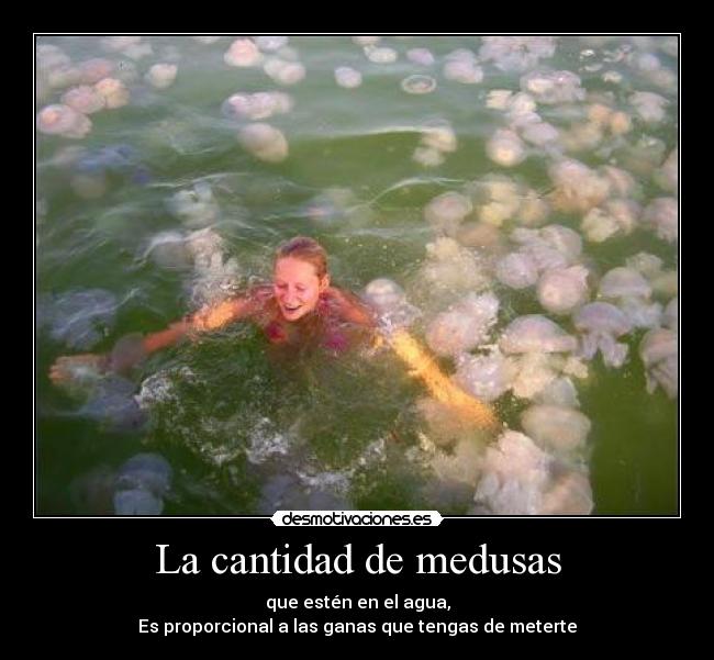 La cantidad de medusas - 