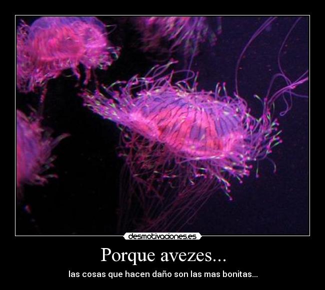 Porque avezes... - las cosas que hacen daño son las mas bonitas...