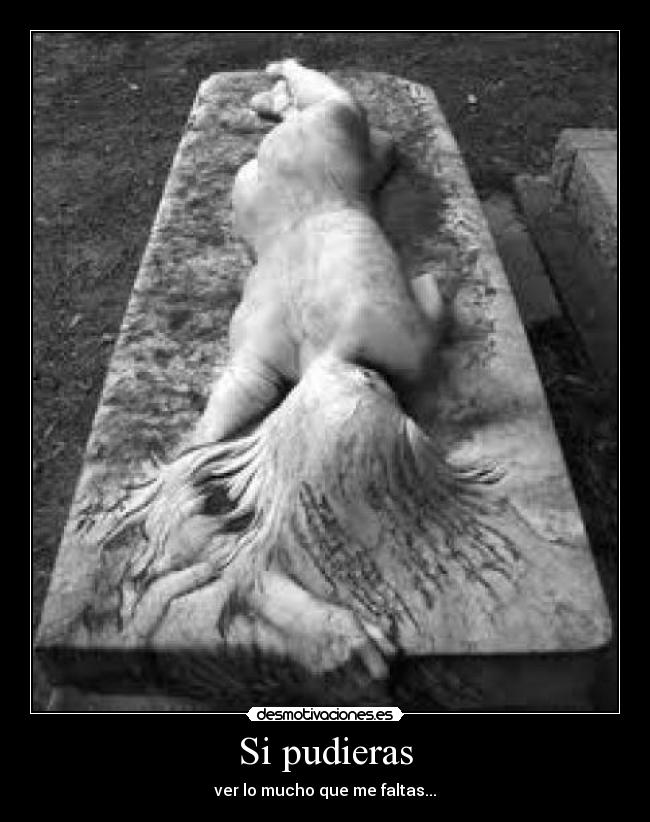 Si pudieras - ver lo mucho que me faltas...