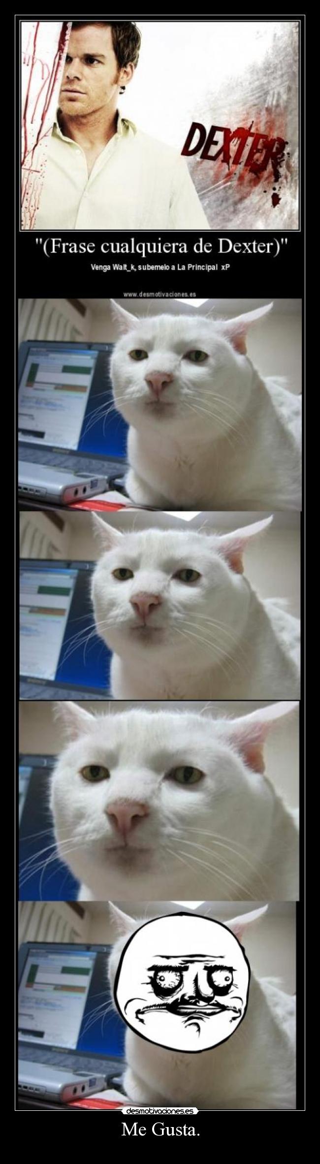 carteles walt_k ante cartel dexter desmotivaciones