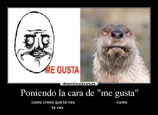 carteles gusta desmotivaciones