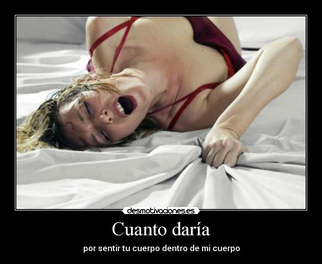 carteles placer desmotivaciones