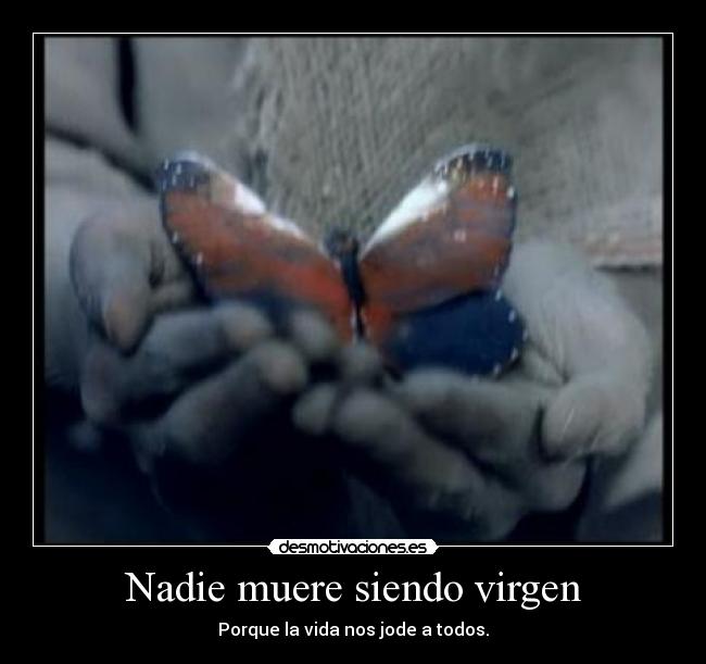 Nadie muere siendo virgen - 