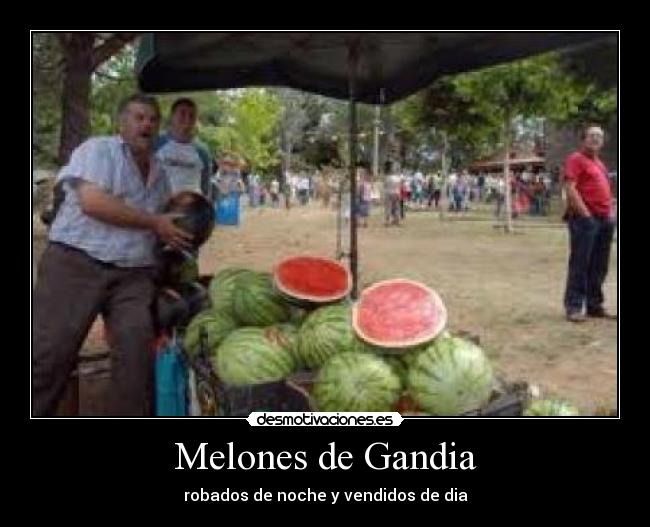 Melones de Gandia - robados de noche y vendidos de dia