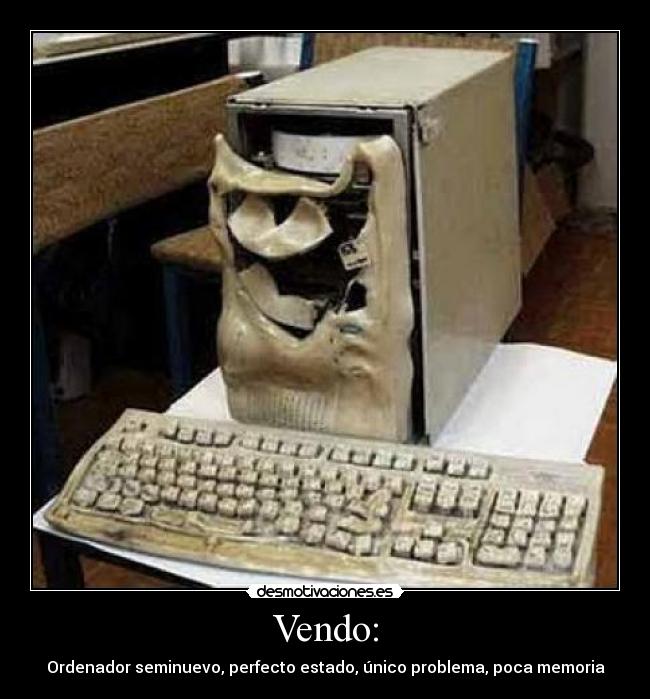 Vendo: - 