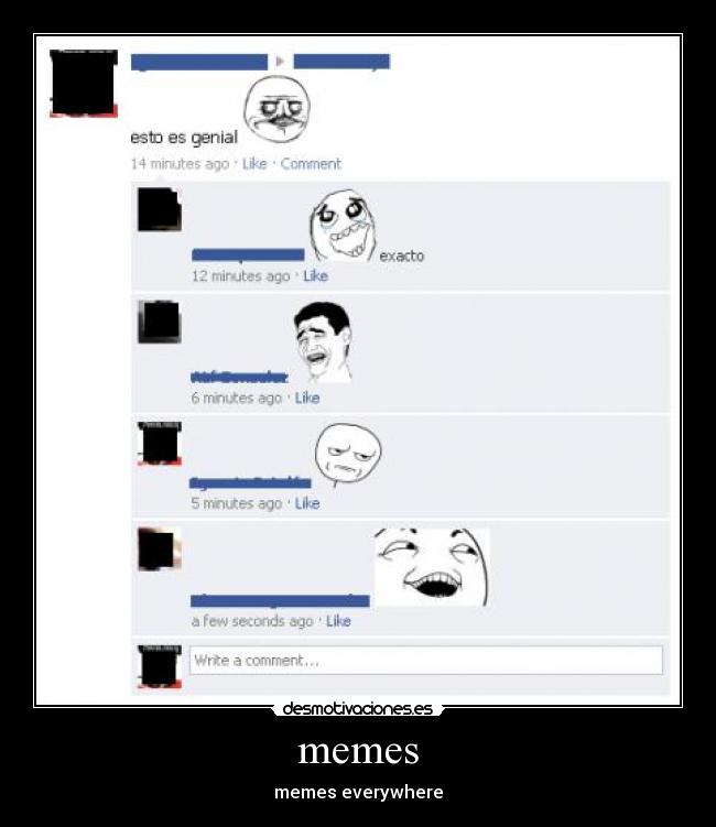 memes - memes everywhere