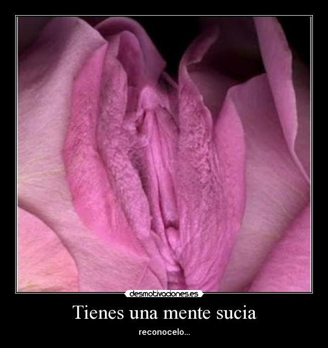 Tienes una mente sucia -