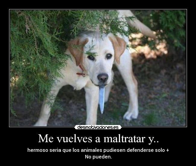 Me vuelves a maltratar y.. - hermoso seria que los animales pudiesen defenderse solo +
No pueden.