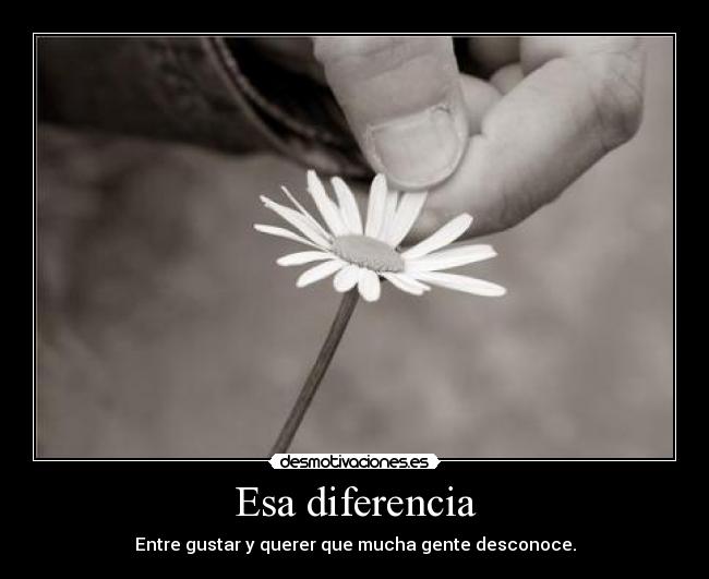 Esa diferencia - Entre gustar y querer que mucha gente desconoce.
