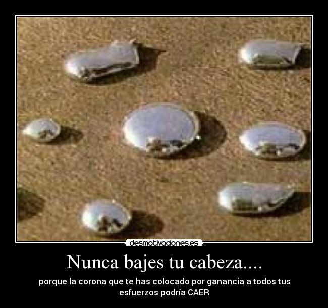 Nunca bajes tu cabeza.... - porque la corona que te has colocado por ganancia a todos tus
esfuerzos podría CAER