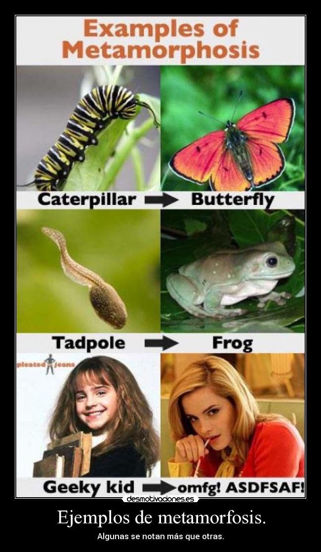 Ejemplos de metamorfosis. - Algunas se notan más que otras.