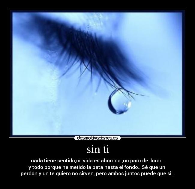 sin ti - nada tiene sentido,mi vida es aburrida ,no paro de llorar...
y todo porque he metido la pata hasta el fondo...Sé que un
perdón y un te quiero no sirven, pero ambos juntos puede que si...