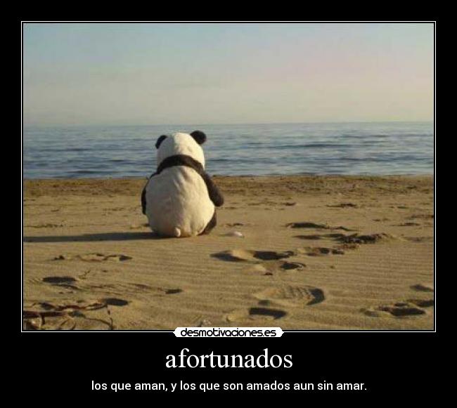 afortunados - los que aman, y los que son amados aun sin amar.