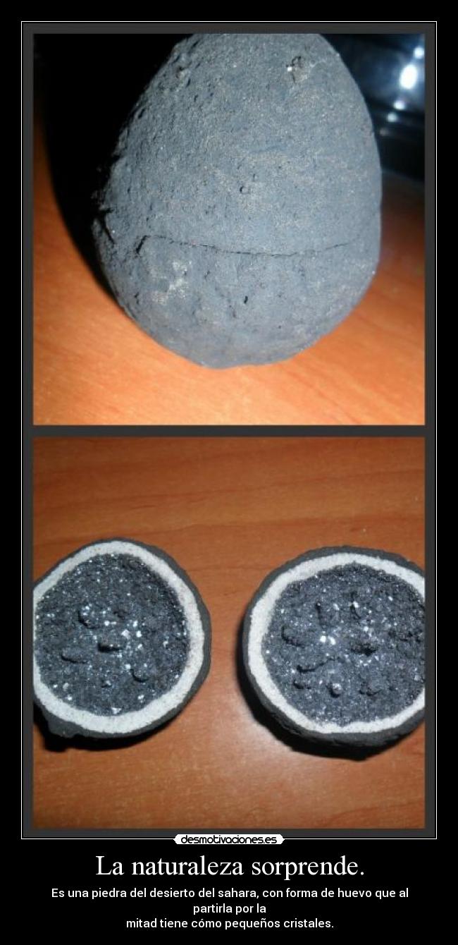 La naturaleza sorprende. -