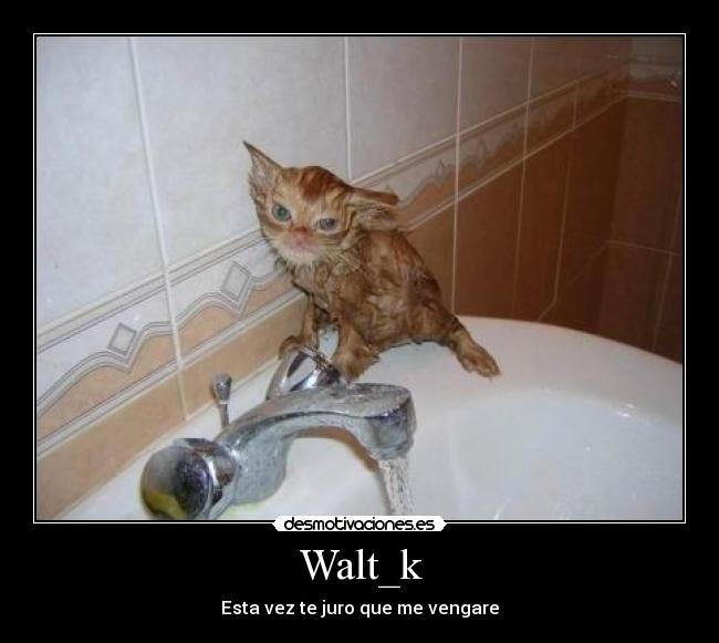 Walt_k - Esta vez te juro que me vengare