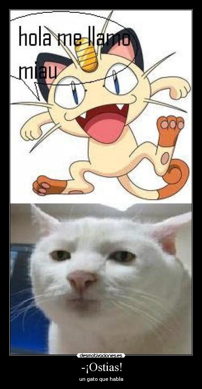 -¡Ostias! - un gato que habla