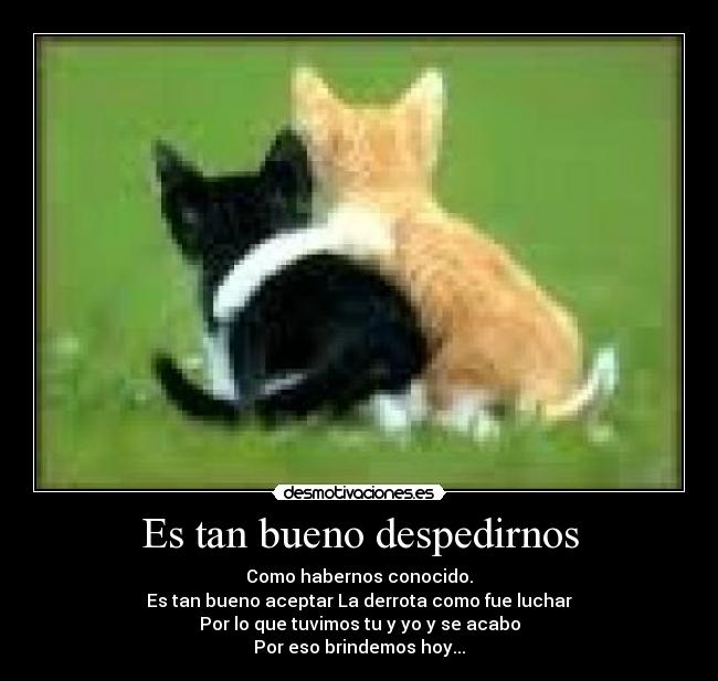 Es tan bueno despedirnos - 