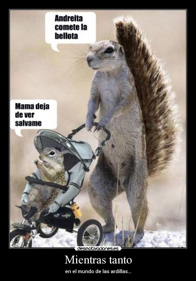 carteles ardillas desmotivaciones