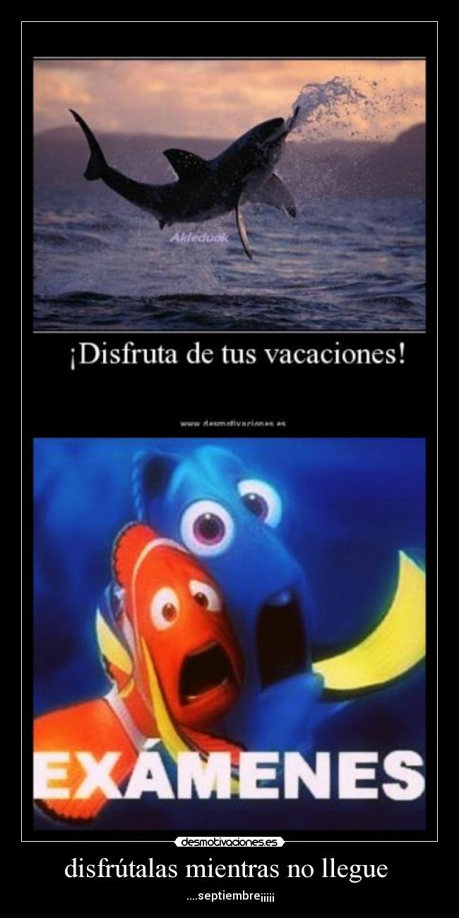 disfrútalas mientras no llegue - ....septiembre¡¡¡¡¡