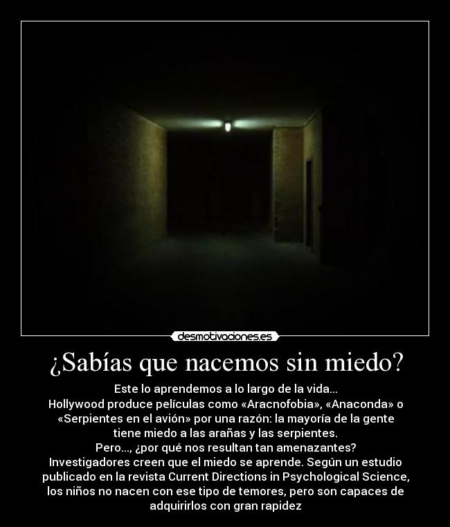 ¿Sabías que nacemos sin miedo? -