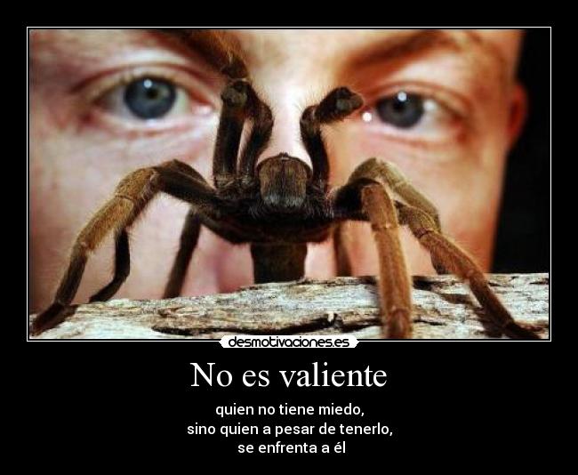 No es valiente - quien no tiene miedo,
sino quien a pesar de tenerlo,
se enfrenta a él