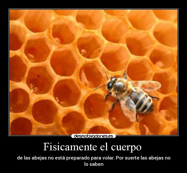 Fisicamente el cuerpo -