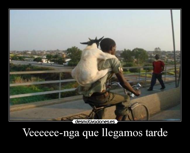 Veeeeee-nga que llegamos tarde -