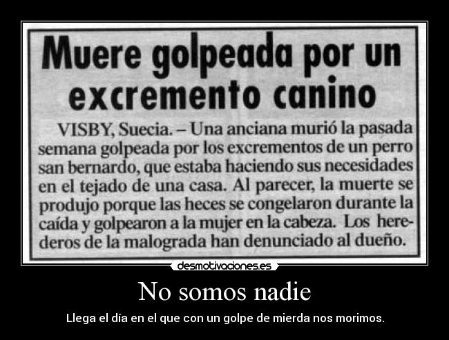 No somos nadie - Llega el día en el que con un golpe de mierda nos morimos.