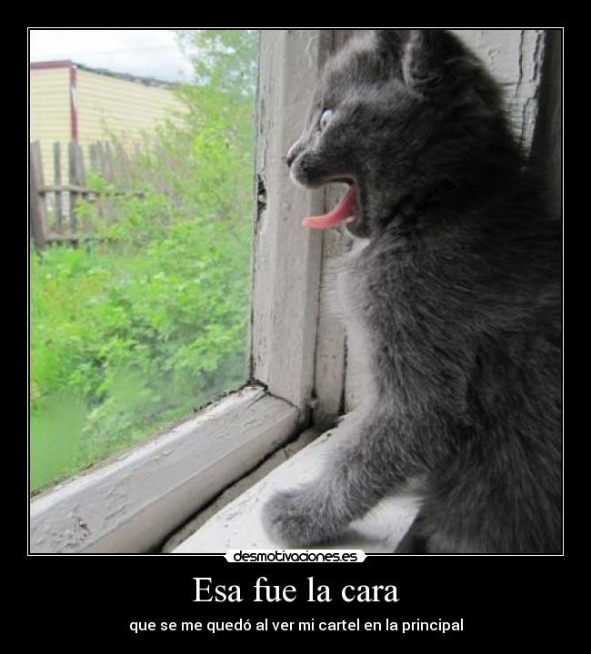 Esa fue la cara - que se me quedó al ver mi cartel en la principal