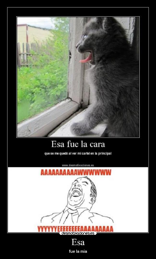 Esa - fue la mia
